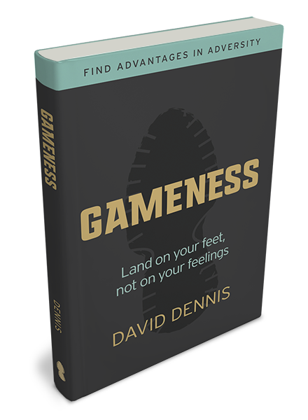 gameness book cover